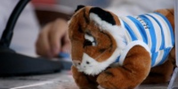 Меридианы Тихого: Осталось несколько дней