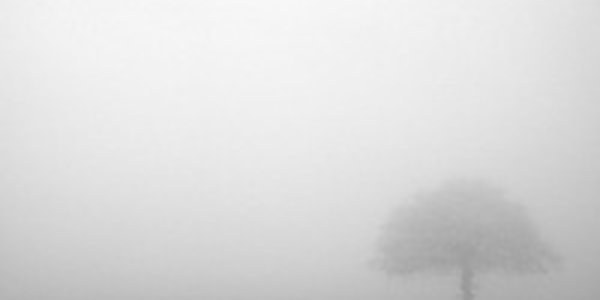 Солнце сменится моросью и туманом