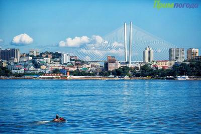 Чем дышал Владивосток c 1 по 10 сентября?