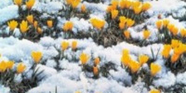 Первая декада апреля была теплой. Что дальше?