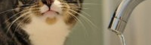 Малоснежная зима не повлияет на водоснабжение в Приморье