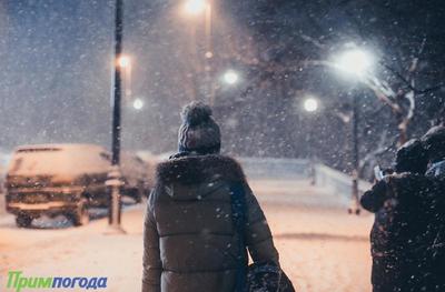 Ночью в Приморье осадки в виде снега и мокрого снега продолжатся