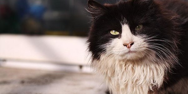 Самый тёплый день с начала года ждёт Владивосток 30 января