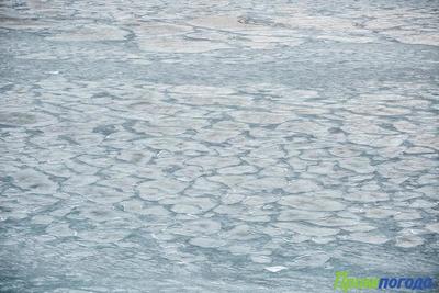 Разрушение и вынос льда в открытое море ожидается у берегов Приморья