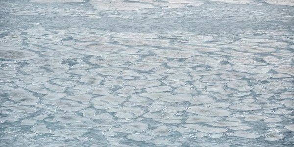 Разрушение и вынос льда в открытое море ожидается у берегов Приморья