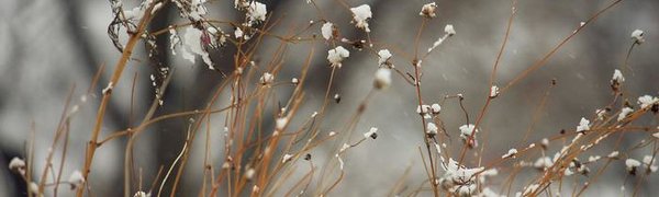 В воскресенье во Владивостоке вероятен слабый снег