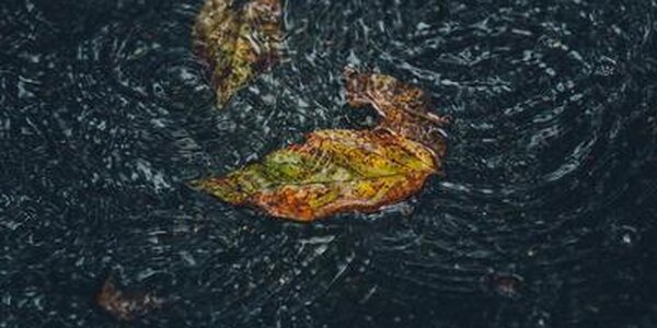 Дожди, местами сильные, пройдут в Приморье на выходных