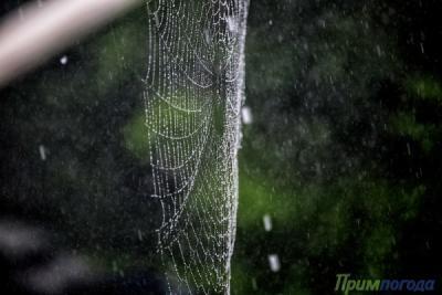 Дожди охватят Приморье до середины следующей недели