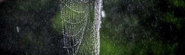 Дожди охватят Приморье до середины следующей недели