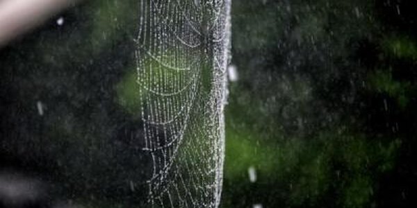 Дожди охватят Приморье до середины следующей недели