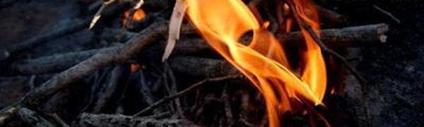 В Приморском крае повышается класс пожароопасности леса по метеоусловиям