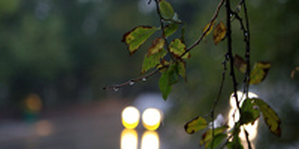 В выходные во Владивостоке будет пасмурно и дождливо