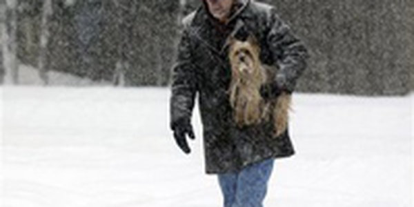 Новую Зеландию засыпает снегом