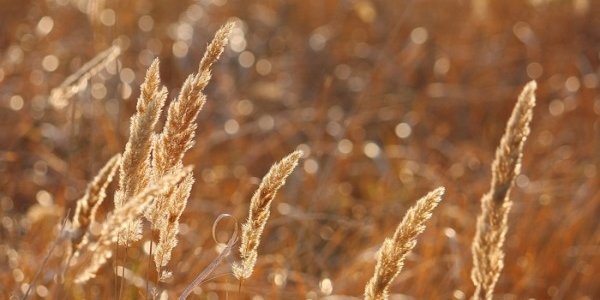 Похолодание в Приморье пойдет на спад
