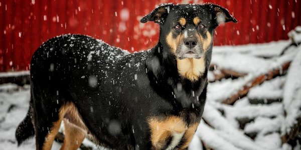 Завтра в отдельных районах Приморья пройдёт небольшой снег