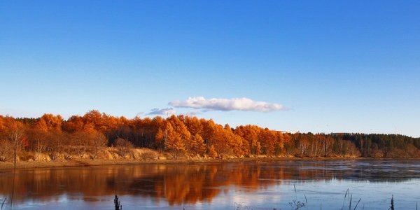 До конца месяца в Приморье сохранится холодная погода