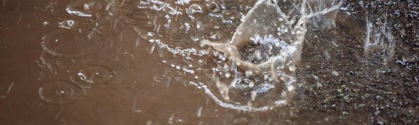 На севере Приморья ожидаются сильные и очень сильные дожди