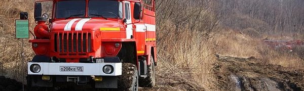 Все лесные пожары в Приморье потушены
