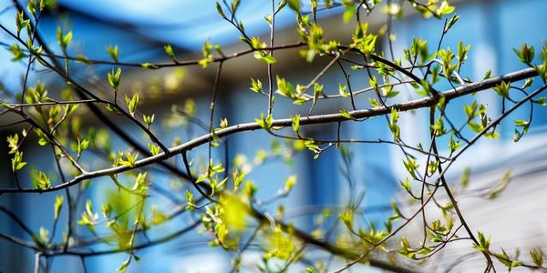 Погода в Приморье на выходных: немного солнца и дождя