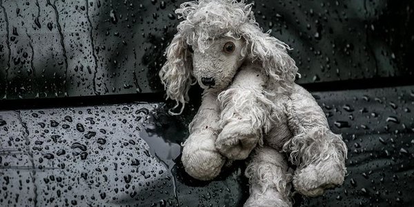 Во вторник осадки в Приморье возобновятся, похолодает