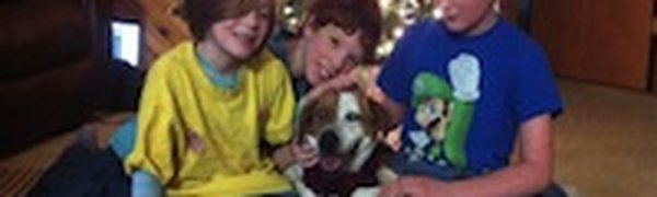 Слепой пес чудом выжил в снегах Аляски