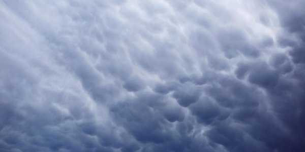 Завтра в Приморье будет облачно, временами дождь