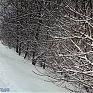 Во Владивостоке весна началась снегопадом