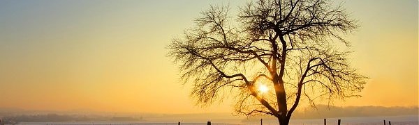 Жители Заполярья встретили «первый рассвет»