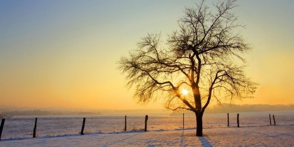 Жители Заполярья встретили «первый рассвет»