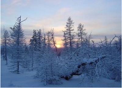 Снежные сугробы декабря. Каким оказался этот месяц в Приморье?