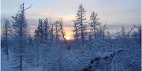 Снежные сугробы декабря. Каким оказался этот месяц в Приморье?