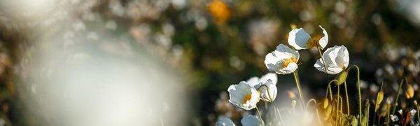 Май в Приморье отметился штормовой погодой и теплом