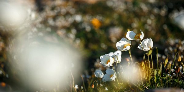 Май в Приморье отметился штормовой погодой и теплом