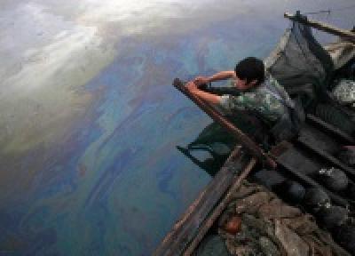 Китайские рыбаки спасают море(ФОТО) 