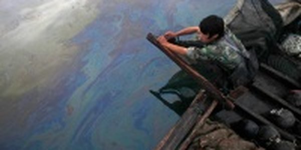 Китайские рыбаки спасают море(ФОТО) 