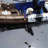 Китайские рыбаки спасают море(ФОТО) 