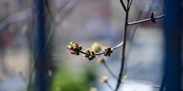 Прохладная погода будет в последний день марта в Приморье
