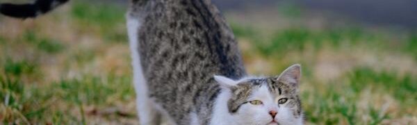 В первые выходные апреля осадков в Приморье не ожидается