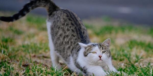 В первые выходные апреля осадков в Приморье не ожидается