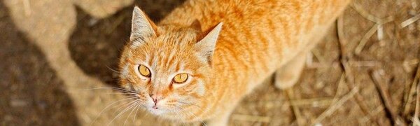 Март прощается с Приморьем спокойной погодой