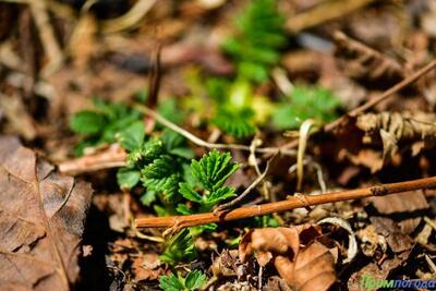С наступлением апреля погода в Приморье взяла курс на потепление