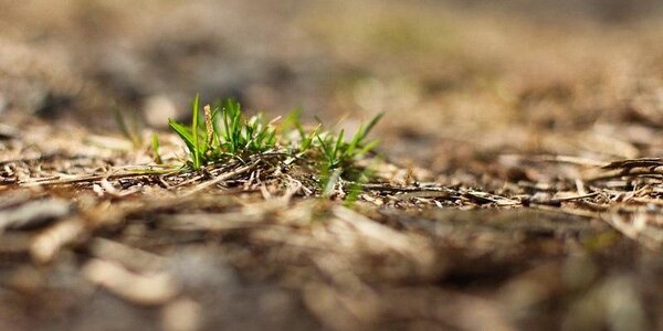 Контрастная погода ожидается в Приморье в первые выходные апреля