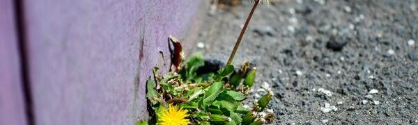 До +21°С прогреется воздух в континентальных районах Приморья в понедельник