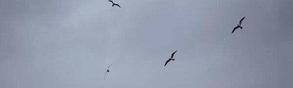 Погода во Владивостоке резко изменится завтра