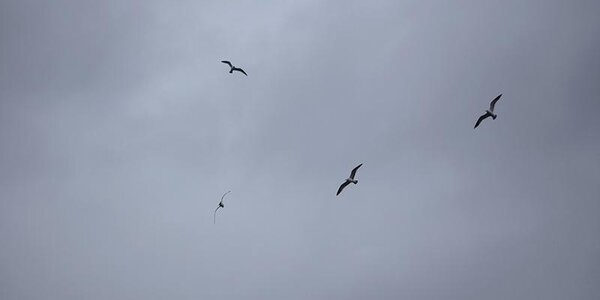 Погода во Владивостоке резко изменится завтра