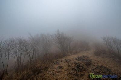 Осадки различной интенсивности пройдут в Приморье в среду ночью