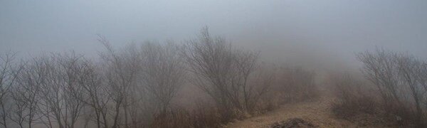 Осадки различной интенсивности пройдут в Приморье в среду ночью