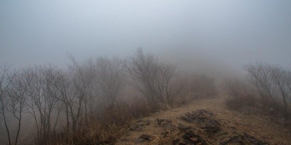 Осадки различной интенсивности пройдут в Приморье в среду ночью