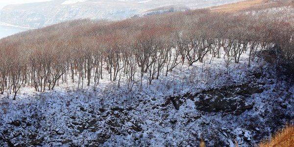 Высота снежного покрова в Приморье по-прежнему ниже нормы