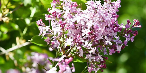 Среда дарит Приморью солнечный день